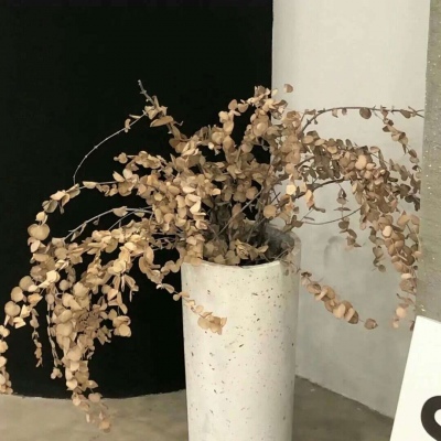 Furry插画故事感设计兽圈社群